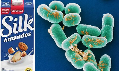 PHAC says two dead from listeriosis amid outbreak linked to plant-based milk