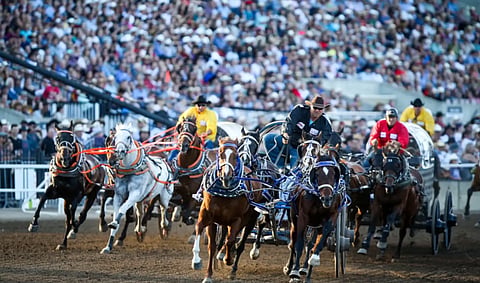 Few events are more exciting than the Rangeland Derby.