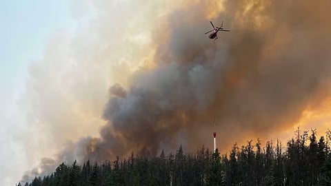 Jasper wildfire 