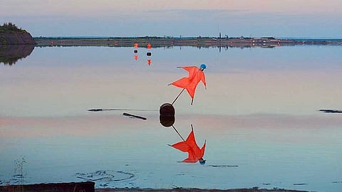 ‘Bitumen’ scare crow on Mildred Lake tailing pond