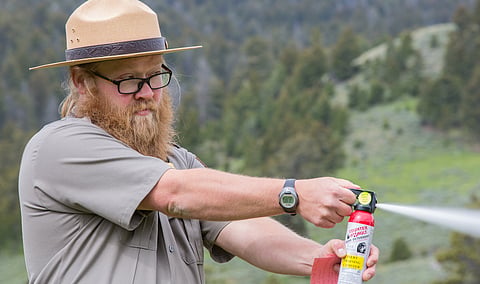 Bear spray shoots a strong liquid jet that can disable people as well as bears. Although it is illegal to use against people, even an attacker, some people carry it anyway. The Edmonton city council means to regulate its sale.