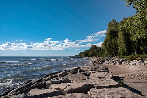 Lake Ontario shoreline in Jack Darling Memorial Park 