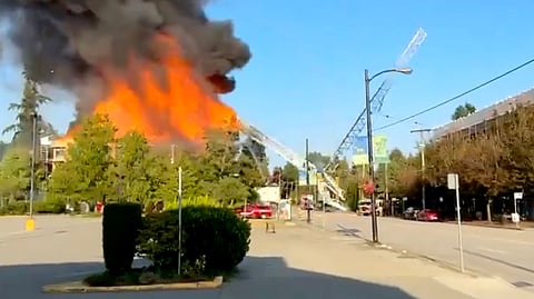 Crane collapse