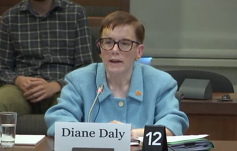 Diane Daly said Canadian government appointees tried to distance themselves from GC Strategies. 