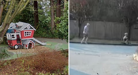 North Van RCMP seeking suspect after senior assaulted in local park