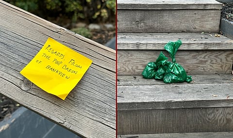 Self-proclaimed 'Poop Baron of Bankview' wreaking havoc in Calgary