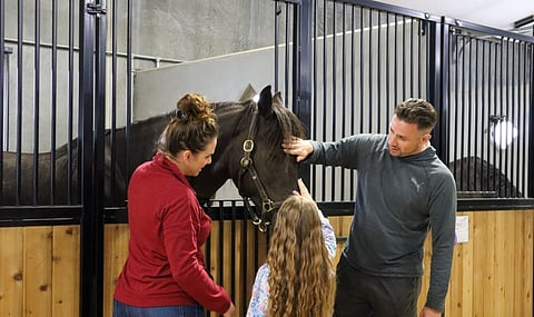 CanPraxis offers equine therapy in a program for Veterans and their family members