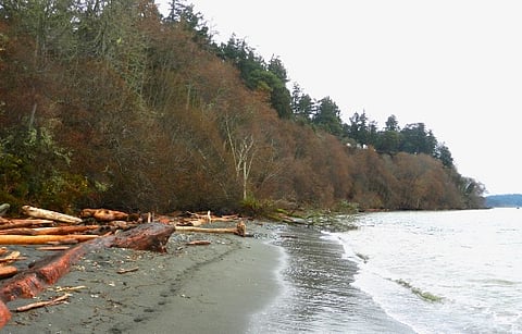 West Shore