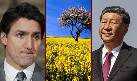 Prime Minister Justin Trudeau, Chinese President Xi Jinping