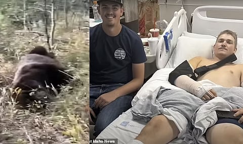 ‘TOSSED AROUND BY A GRIZZLY’: Man recounts how he was saved by savage bear attack