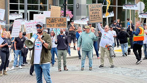 Salmon farmers