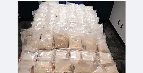 Edmonton police seize 66 kg of drugs in massive interprovincial trafficking bust