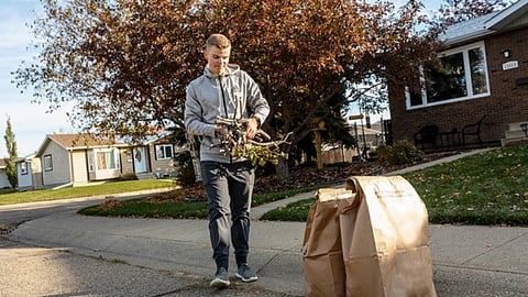 Yard waste 