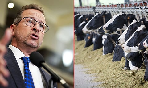 Bloc Québécois leader Yves-François Blanchet, one of Canada's strong supporters of high dairy prices.  