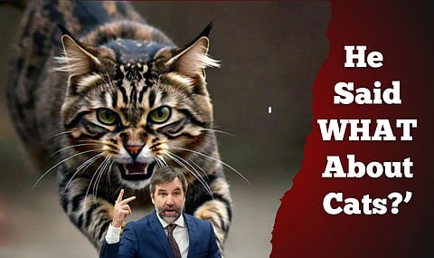 Columnist Linda Slobodian is a noted cat enabler.