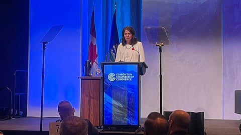 Danielle Smith said government is one element in the success of businesses. 