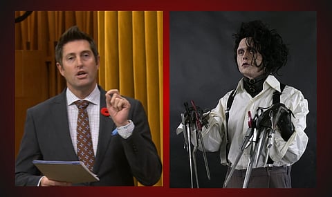  Liberal MP Ryan Turnbull , Edward Scissorhands