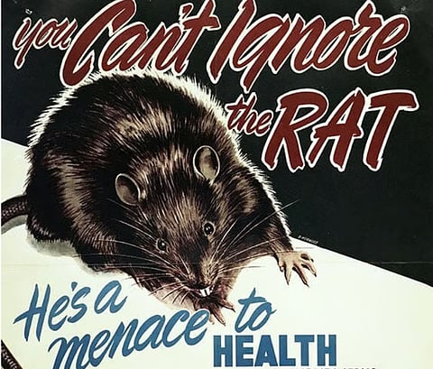 Old Rat patrol poster