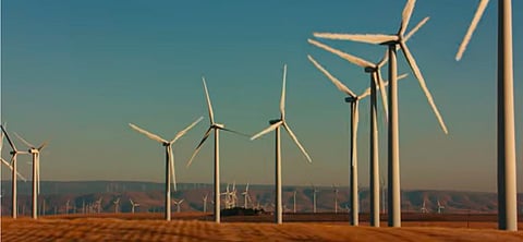 large-scale industrial wind farm.