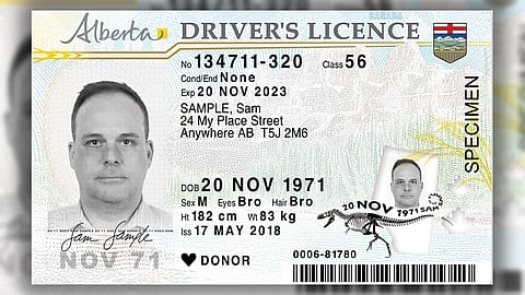 An Alberta driver's licence 
