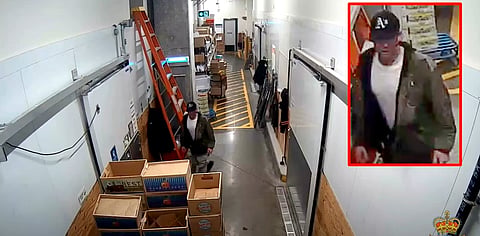 THAT'S NACHO CHEESE: North Van RCMP seek suspect after foiling $12,800 cheese heist

