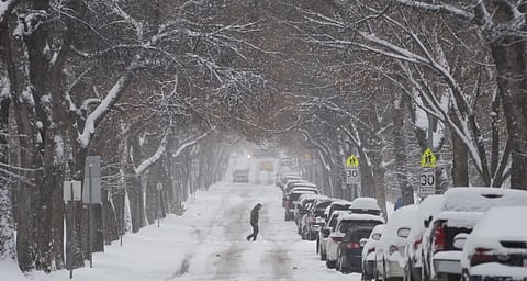 Snow day in Edmonton 