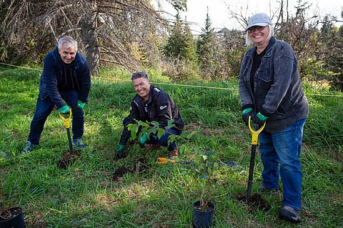 National Tree Day 2023 