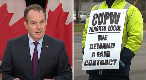Labour Minister Steven MacKinnon