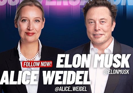 Alice Weidel and Elon Musk 