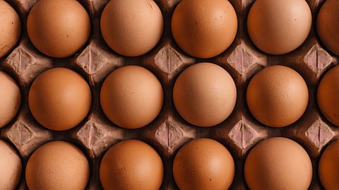 Eggs