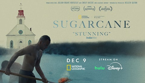 Sugarcane