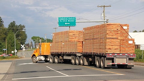 Softwood lumber