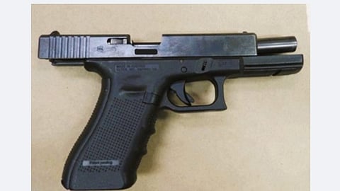 Gun