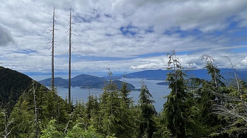 Teen dies after falling during hike near Vancouver