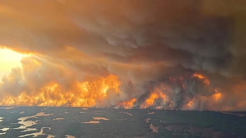 Wildfires