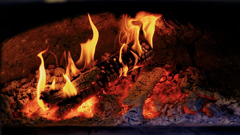 Wood-burning fireplace