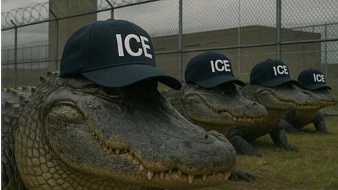 WATCH: ‘ALLIGATOR ALCATRAZ’ — Trump to  launch remote detention centre for 'criminal illegal aliens'