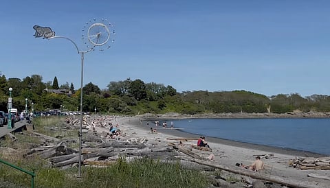 Willows Beach