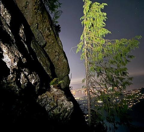 BC hiker falls off cliff; Life saved by tree growing on ledge
