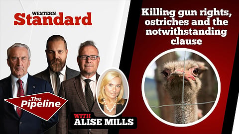 Killing gun rights, ostriches and the notwithstanding clause