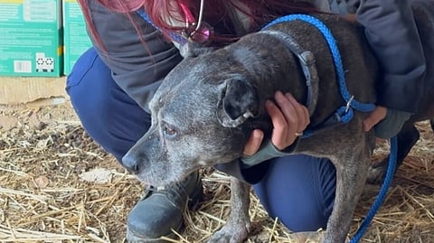 Valleyview rescue