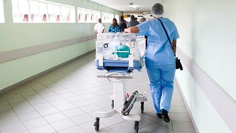 Nursing 