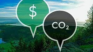 Net Zero