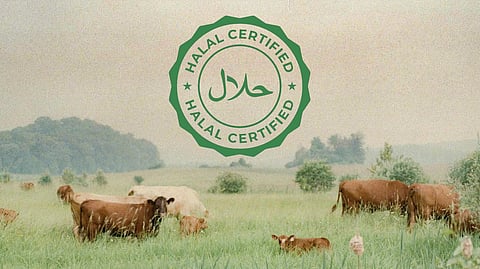 Feds announce millions in spending on halal beef production in PEI