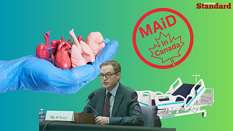 MAID, Jim O'Neil