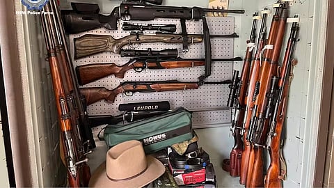 Firearms