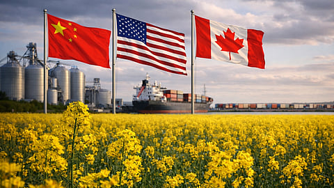 China, United States, and Canadian flags