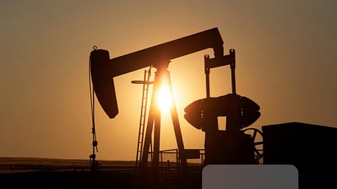 Oil