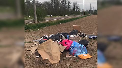 The dumped garbage