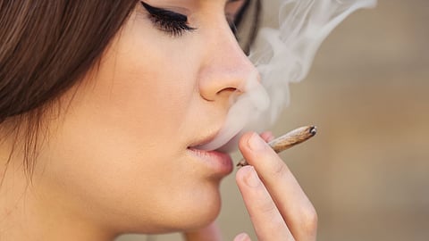Cannabis